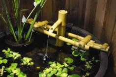 bamboo-fountain-aquascape (675 x 450).jpg